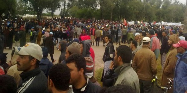 ازيد من خمسة الاف فلاح في مسيرة حاشدة بمدينة سيدي بنور.