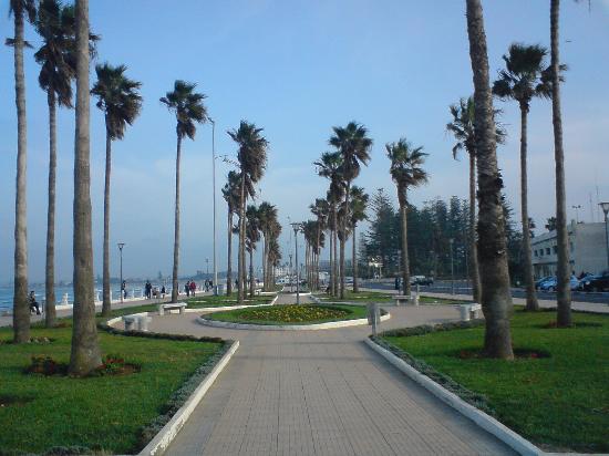 أعضاء غرفة الصناعة التقليدية لإقليمي الجديدة وسيدي بنور يدخلون في إعتصام