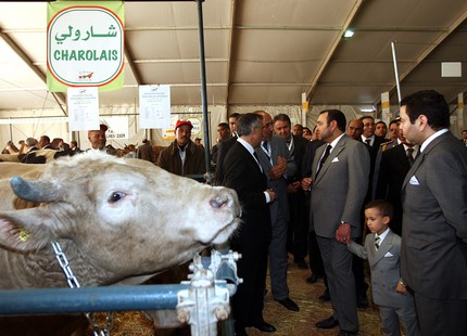 المغرب يعفي 80 الف فلاح  من الديون قبل استفتاء الدستور