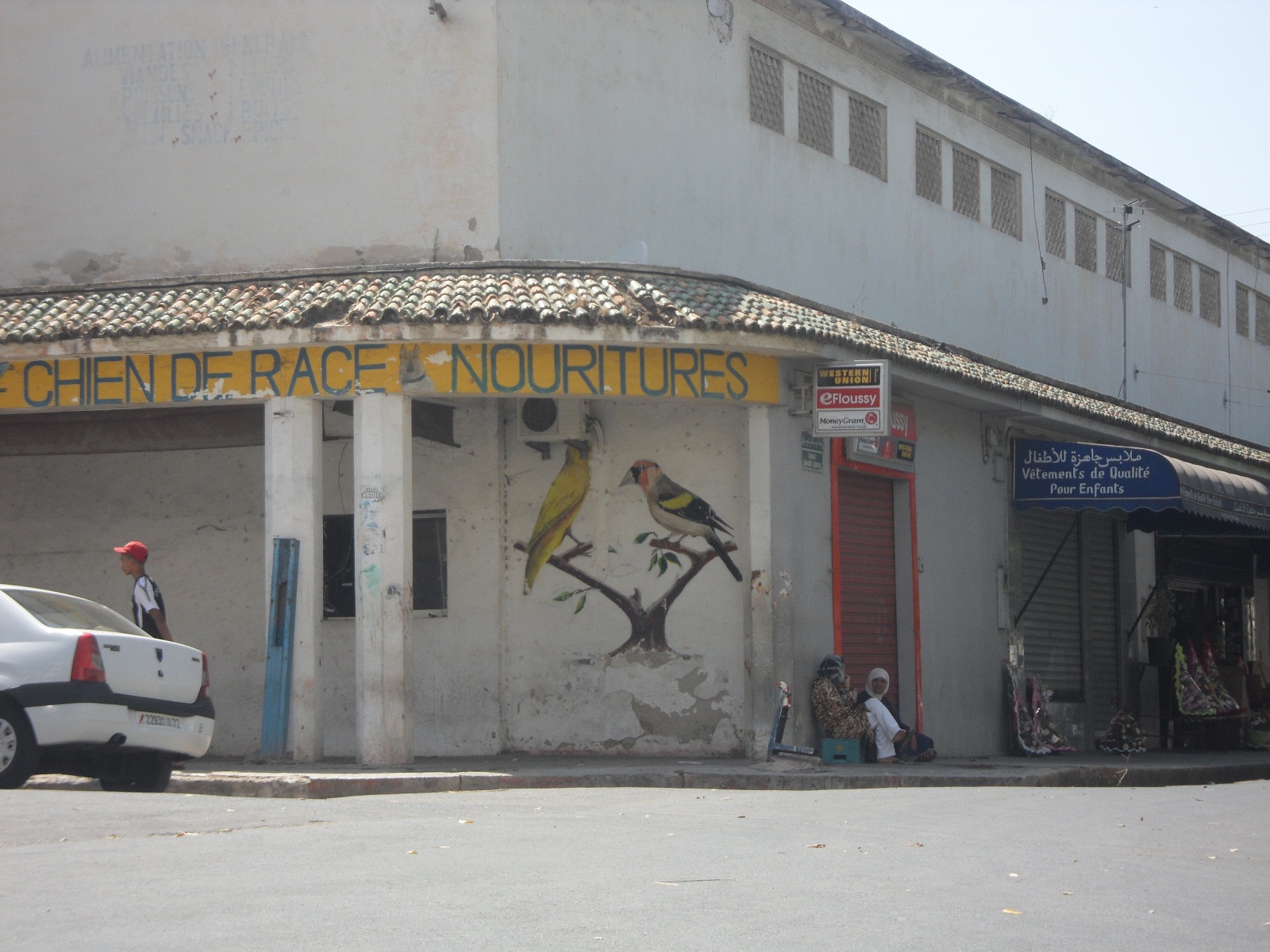 الخدمة في البيوت مهنة من لا حرفة لها