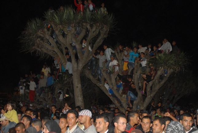 صور الشجرة الذي تسببت في اصابة 8 اشخاص خلال السهرة الفنية الاخيرة بحديقة محمد الخامس