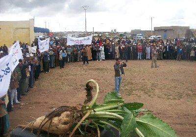 الجديدة: فلاحو منطقة بولعوان يطالبون  بايفاد لجنة تحقيق