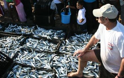 الجديدة : ازمة السمك متواصلة بين غياب العرض وارتفاع الاسعار