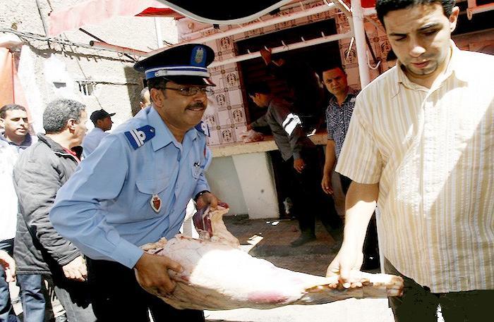 حجز لحوم للذبيحة السرية بآزمور و تقديم المتهم للعدالة