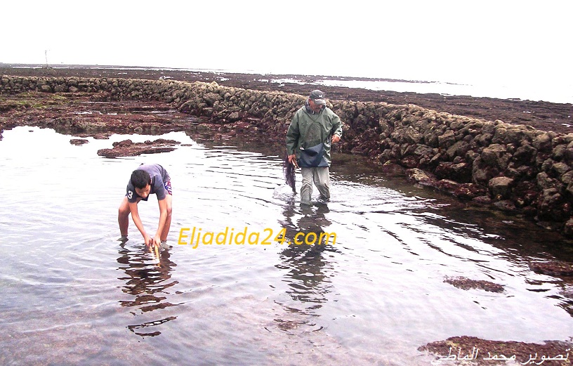 تحقيق حول مصايد السمك «المشكيرة» بشواطئ مدينة الجديدة