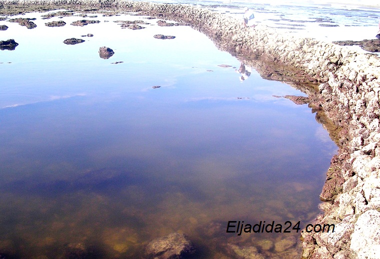 عبد الله فرسي الملقب بالمعتوكي احد أقدم الصيادين بالجديدة وأقدم بناة مصايد "المشكيرات" وآخرهم