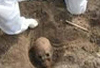 عملية دفن حمار تؤدي للكشف عن جمجمة بشرية بسيدي بنور و صاحب الحمار رهن الاعتقال بالسجن بالجديدة