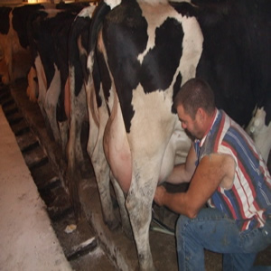 شركة نستلي المغرب توقع أول اتفاقية تجميع في قطاع الحليب بجهة دكالة عبدة