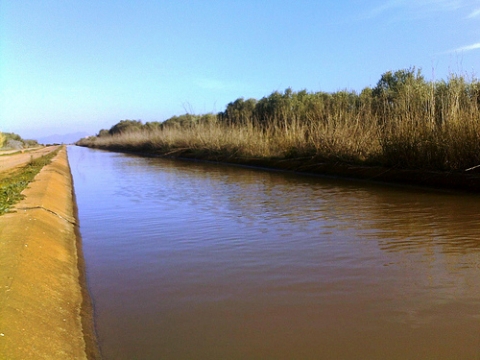 وفاة ستة أشخاص غرقا في أقل من عشرة أيام بدكالة