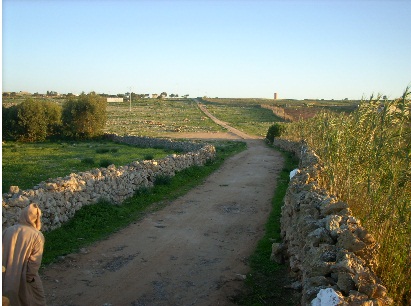 فلاحو اولاد يوسف بالوليدية يطالبون بحقهم من دعم الدولة في تجهيز الأراضي