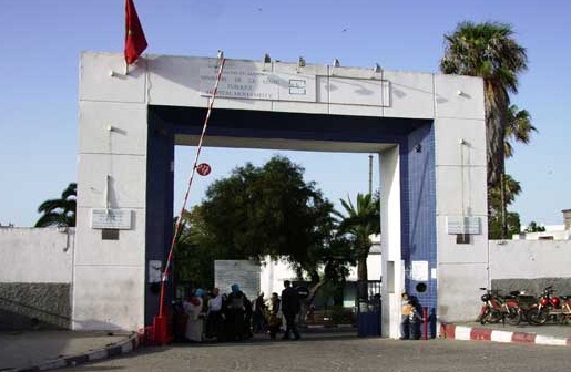 النمل يهاجم مريضة بقسم الإنعاش بمستشفى محمد الخامس بالجديدة