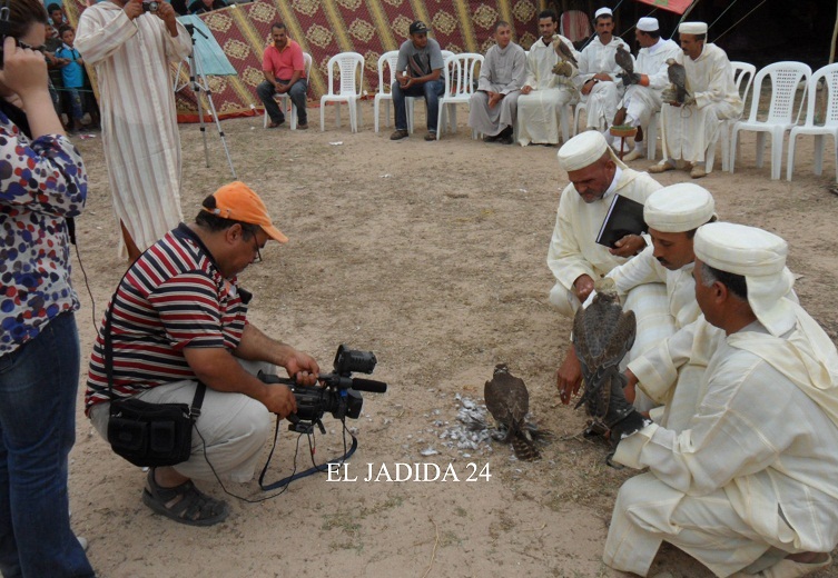 القواسم و فن التدجين من الجديدة إلى إيفران