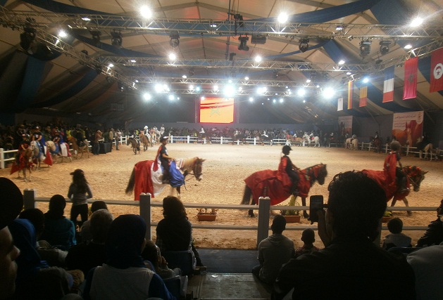 اختتام فعاليات الدورة الخامسة لمعرض الفرس بالجديدة على أعلى رقم للزوار