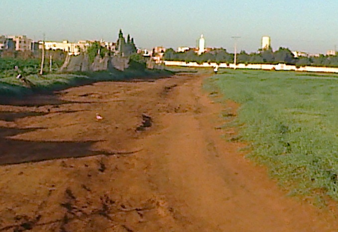 سيدي اسماعيل:  طريق في حاجة الى اصلاح بدوار الكدارة