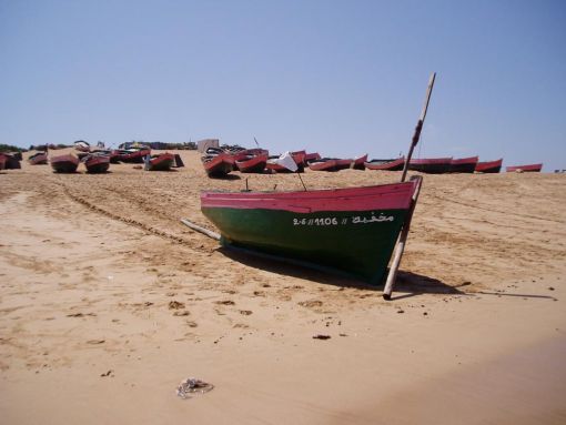 بحارة الواليدية يناشدون وزير الصيد البحري تأهيل القطاع من أجل تنمية مستدامة