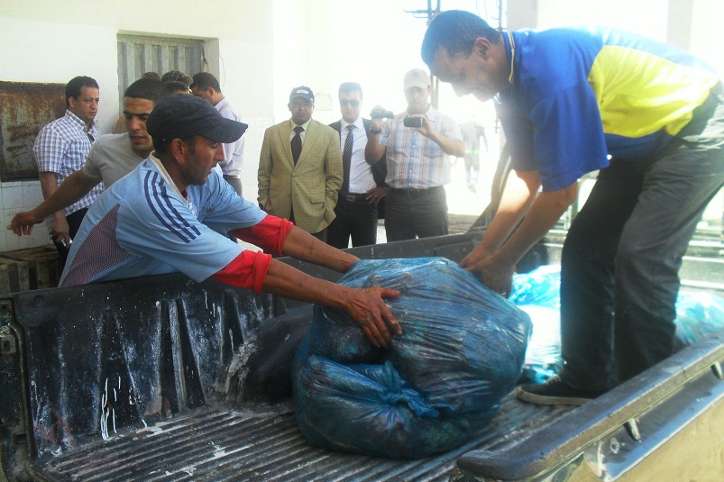 السلطات المحلية بالجديدة تشرف على إتلاف 156 دجاجة غير صالحة للاستهلاك واعتقال صاحبها
