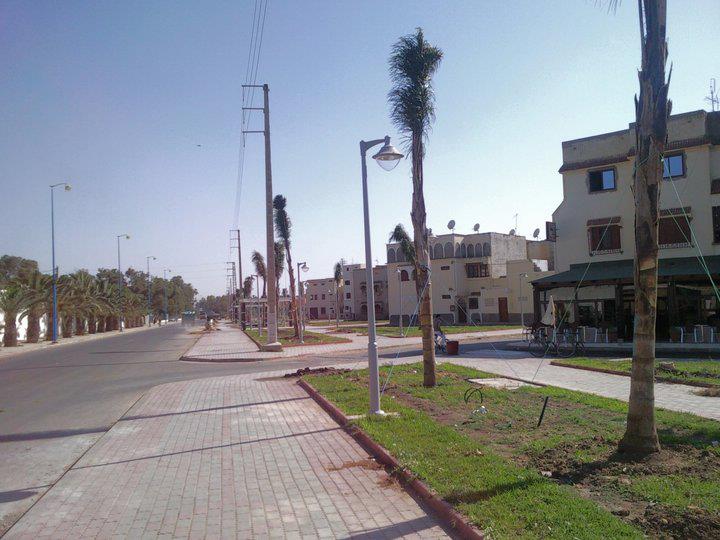 أوراق خريف الزمامرة المتساقطة ....