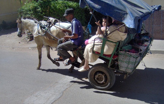 مول الكوتشي و الإقلاع الاقتصادي بالزمامرة