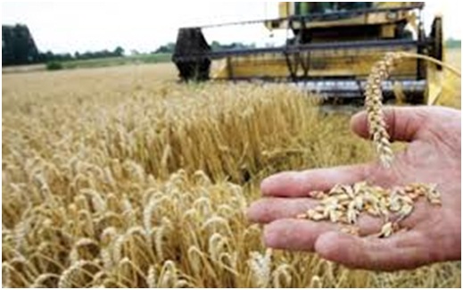 إقليم سيدي بنور يخرج بخفي حنين من توقيع 50 مشروعا  وافقت عليها اللجنة الجهوية للاستثمار لجهة دكالة-عبدة