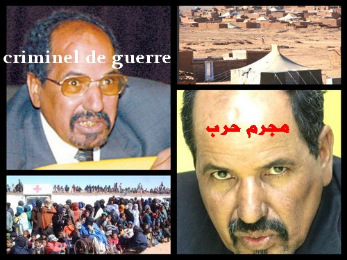 بارومتر النضال عند جبهة البوليساريو ‼