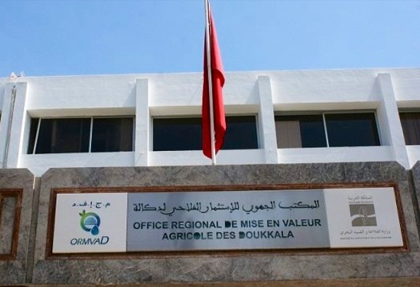 أيادي خفية تتحرك لبقاء الشركة المتعاقدة مع المكتب الجهوي للاستثمار الفلاحي بالجديدة