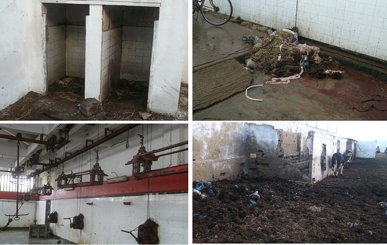 عامل الإقليم يوجه رسالة شديدة اللهجة الى رئيس بلدية الجديدة بسبب المجزرة البلدية