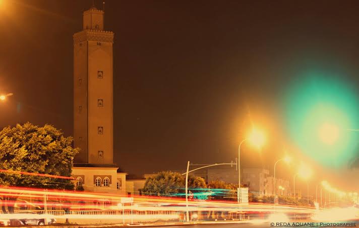 الجديدة .. إلى أين ؟