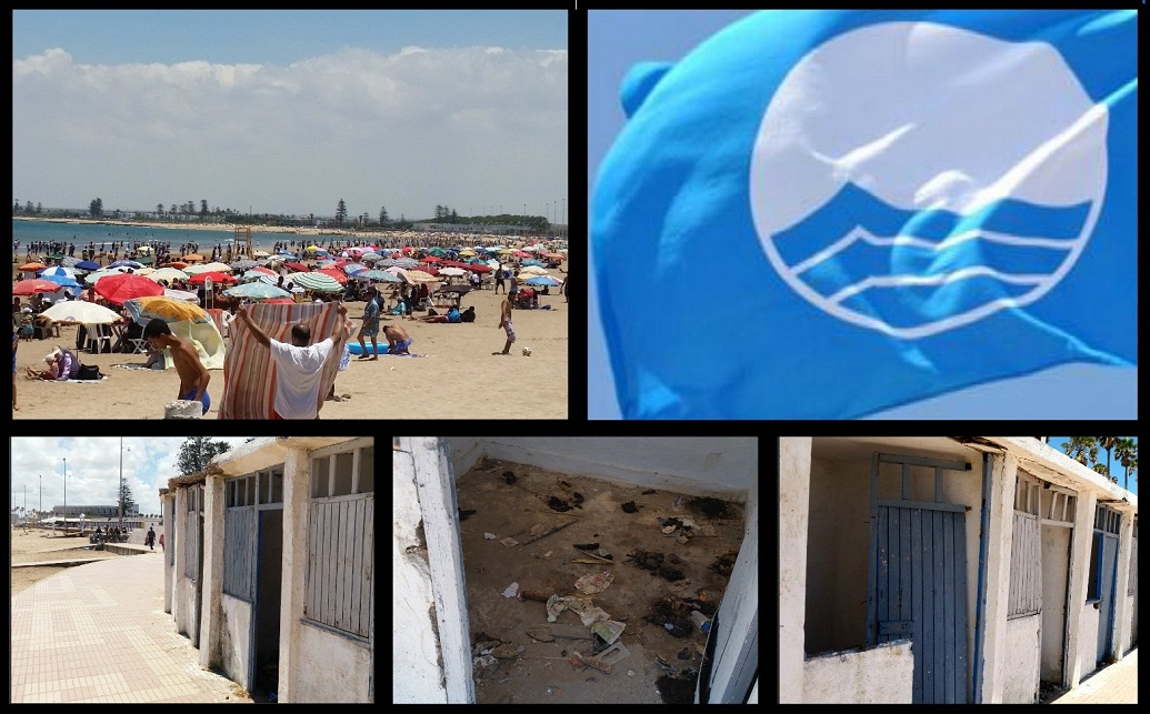 \'اللواء الأزرق\' .. هل سيرفرف ثانية فوق شاطئ الجديدة رغم واقعه الكارثي ؟! ( صور و فيديو صادم)