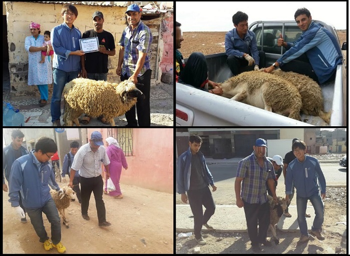 شركة \' SAMSUNG  C&T \' الكورية بالجرف الأصفر توزع مجموعة من الأكباش على بعض المواطنين بالجديدة