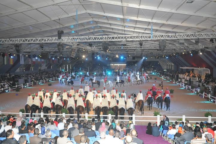 تلامذة إقليم الجديدة في قلب معرض الفرس