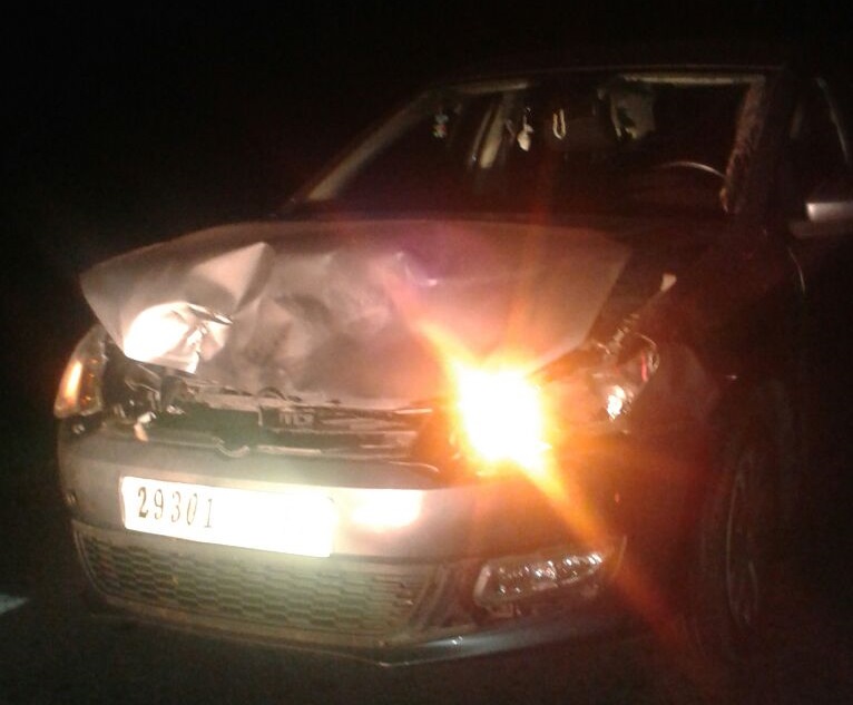 نجاة مسؤول أجنبي بمازغان ونفوق نعجتين في حادثة سير قرب الجديدة + صور