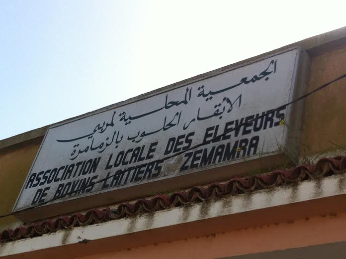 جمعية مربي الابقار الحلوب بالزمامرة تعقد جمعا استثنائيا