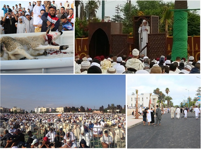 سكان الجديدة يحتفلون بعيد الأضحى ويؤدون صلاة العيد في مصلى و3 مساجد