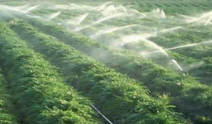 قطع مياه السقي على مناطق فلاحية بالزمامرة