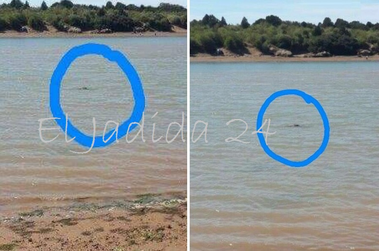 عاجل.. مياه نهر أم الربيع تلفظ جثة شاب مجهول الهوية قرب آزمور