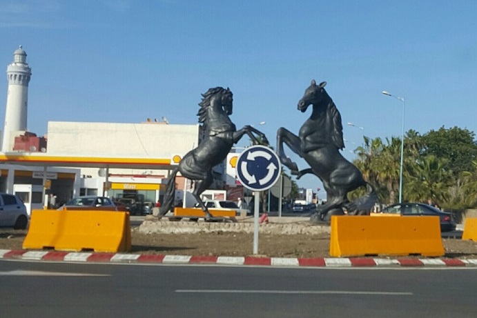 بعد حذفها لمدارة ابراهيم الخليل.. البلدية تحذف نافورة من مشروع طريق سيدي بوزيد وتعوضها بصقر برونزي