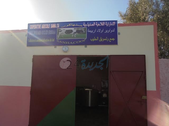 افتتاح تعاونية لجمع الحليب بجماعة أولاد اسبيطة بسيدي بنور