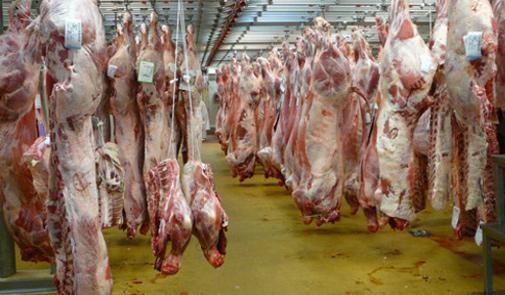 درك سيدي بنور يحجز حوالي 40 ''سكيطة'' كانت في طريقها إلى أكادير