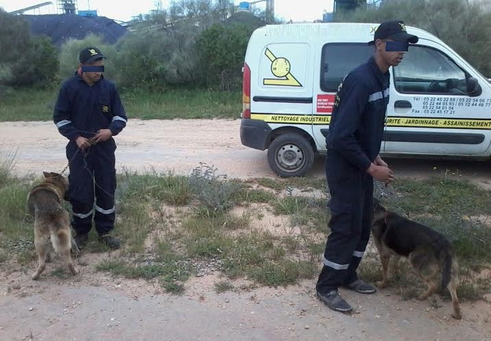 تشديد اجراءات المراقبة من قبل مكتب الفوسفاط بميناء الجرف الأصفر تخفض من عمليات السرقة وتطيح بالمزيد من مرشحي الهجرة السرية