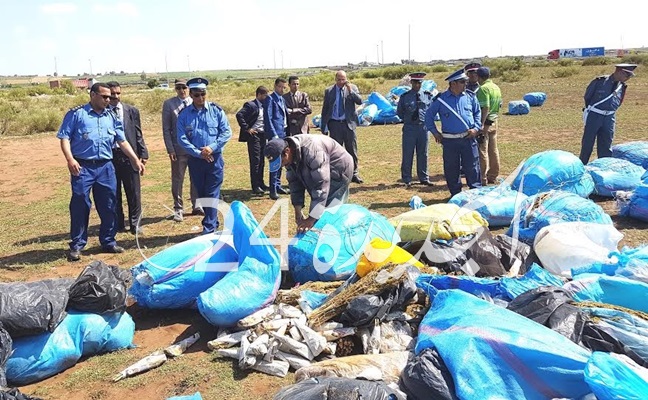 بالصور.. السلطات المختصة بالجديدة تحرق أطنانا من المواد المحظورة