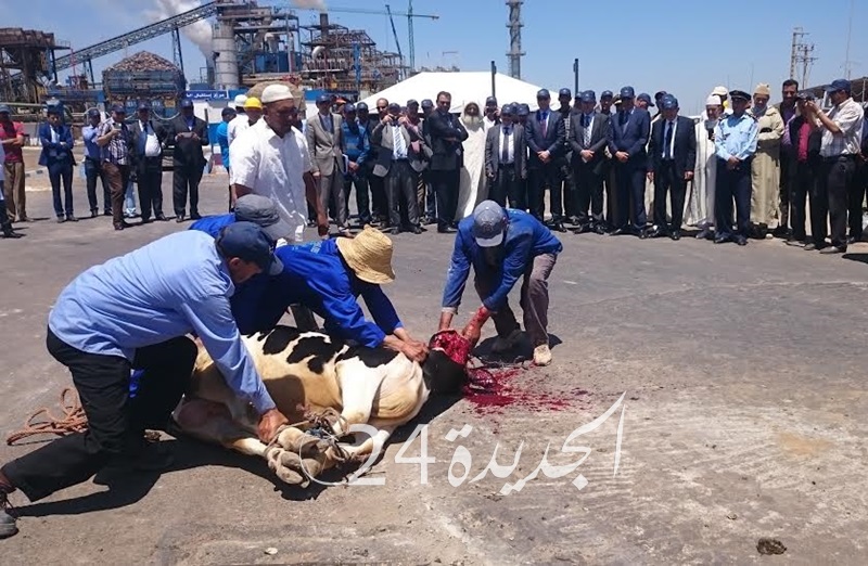 بالصور.. والي جهة الدار البيضاء يعطي الإنطلاقة الرسمية لموسم الشمندر السكري بسيدي بنور