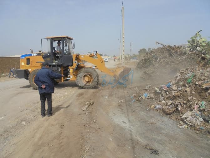 السلطات تشرف على عملية قلع نبات الصبار المصاب بالحشرة القرمزية بالزمامرة