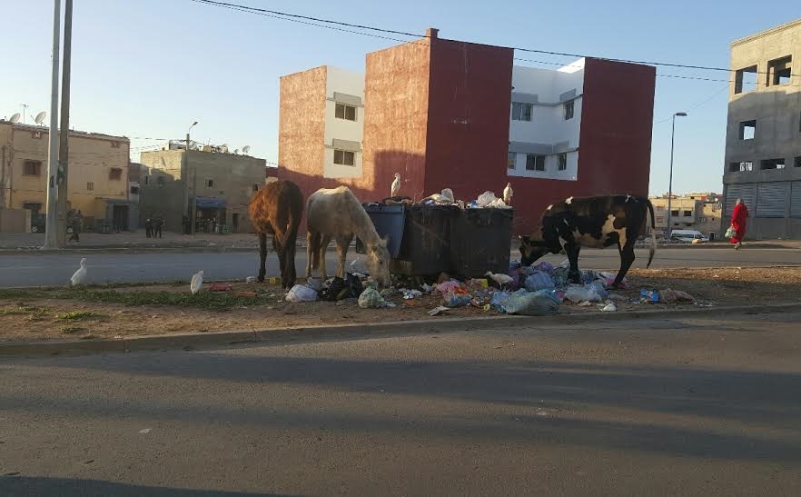 مهلا.. الجديدة ضاقت درعا
