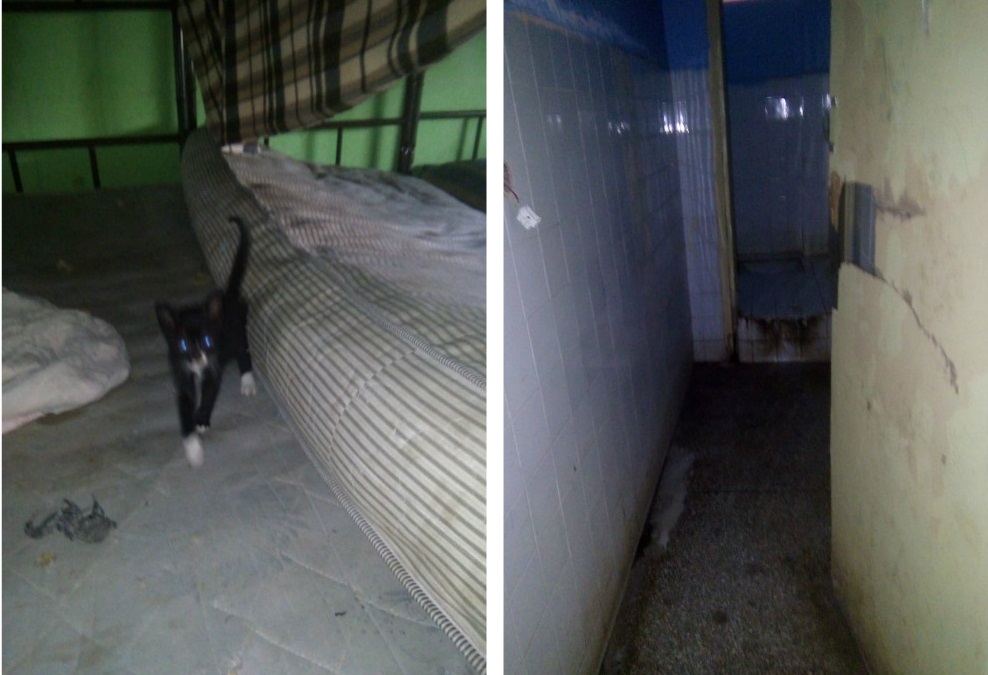 تلميذات داخلية إعدادية حمان الفطواكي بسيدي بنور يطالبن بايفاد لجان للتفتيش الى المؤسسة