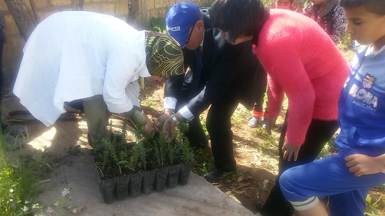 غرس أزيد من 30 شجرة أركان بمشتل مدرسة الحوزية الايكولوجية بمديرية الجديدة