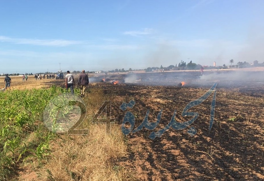بالصور.. النيران تلتهم 3 هكتارات من الحقول الزراعية بضواحي الجديدة