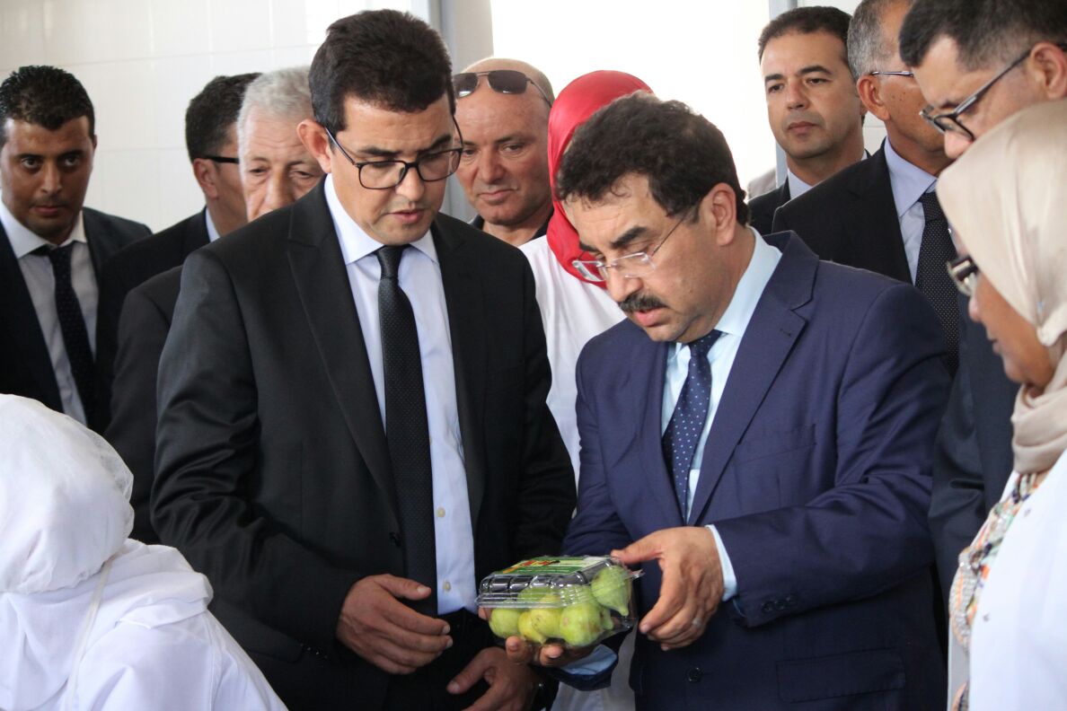 توسيع زراعة التين باقليم الجديدة: إنشاء وحدة لتثمين المنتوج بجماعة اولاد افرج