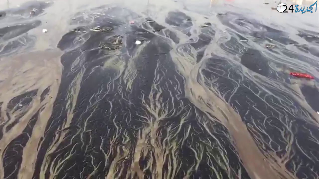 خطير.. تلوث إيكولوجي مجهول المصدر يضرب شاطئ الجديدة + فيديو