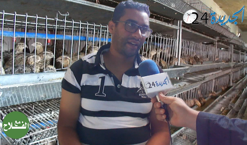 فلاحون بإقليم الجديدة يقتحمون عالم تربية السَّمّان.. وهذه فوائده الصحية‎