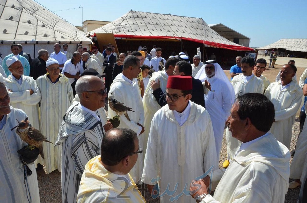 عامل الجديدة يفتتح بجماعة لقواسم الدورة الخامسة لمهرجان الصقارة بحضور الوزير مصطفى الخلفي